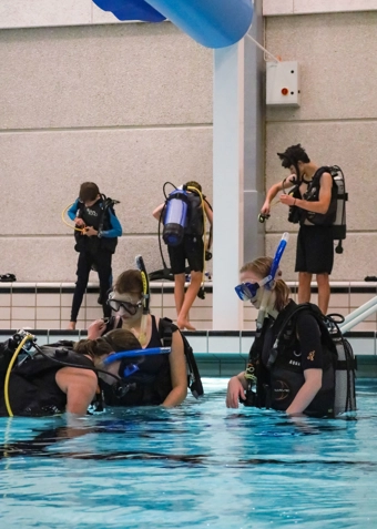 Prøvedyk januar 2026 - Klik for at tilmelde dig