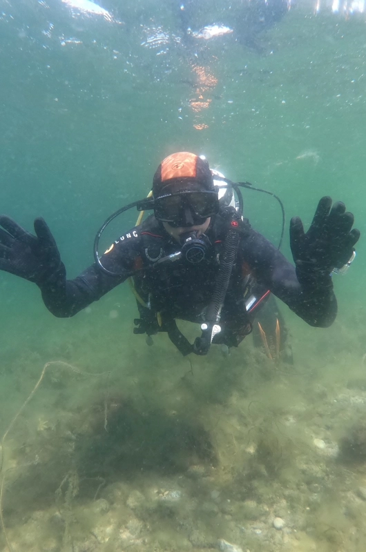 Dykker i åbent vand