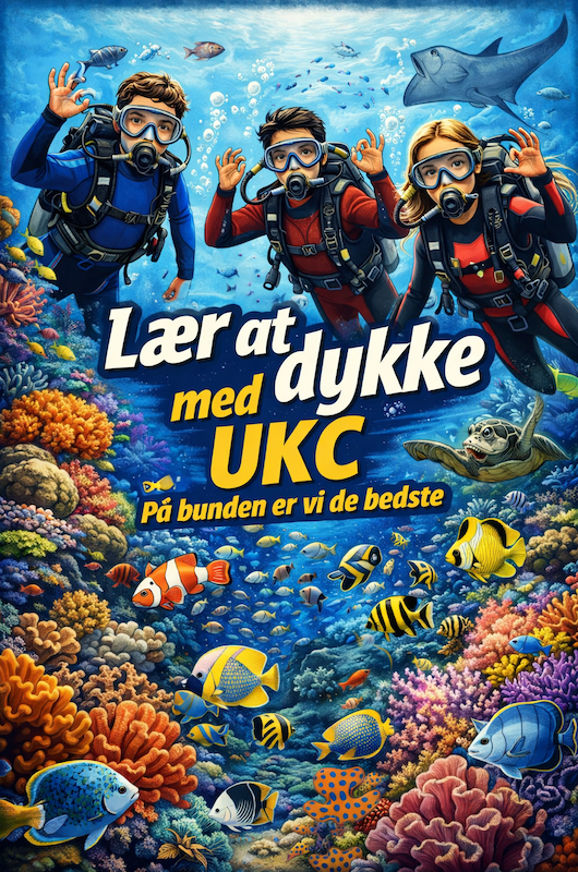 Dykkerhold